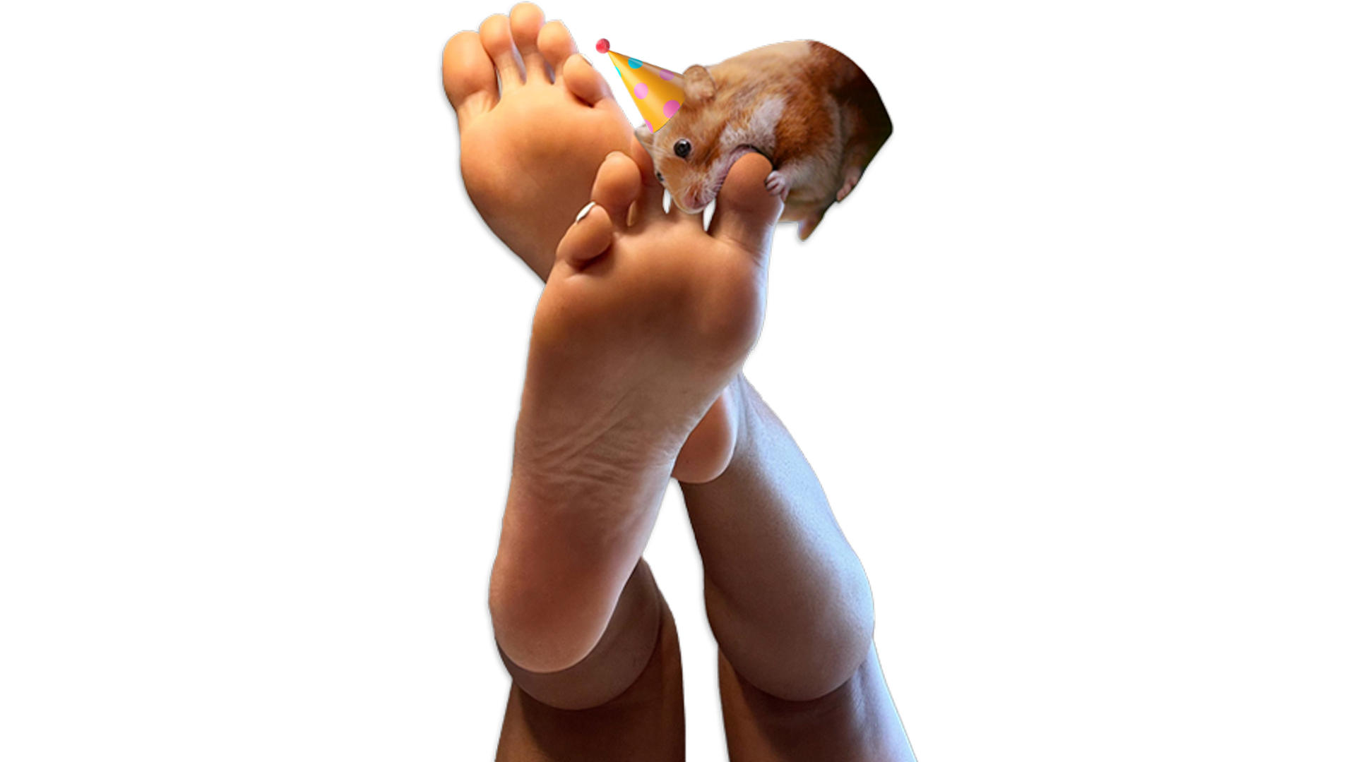 Nomnom feet